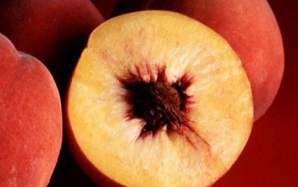 eftali: Kanser, kalp, eker gibi ciddi hastalklara kar korumaktadr.