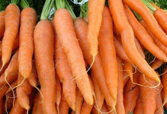 Havu: Eer onun tedavi veya nleyici gcnden faydalanmak istiyorsanz, mutlaka krn uygulamanz gerekir. Havu, zellikle deri ve akcier kanserine kar mkemmel bir nleyicidir. Prostat, pankreas veya meme kanserine kar bu nleyici gc yok denecek azdr.