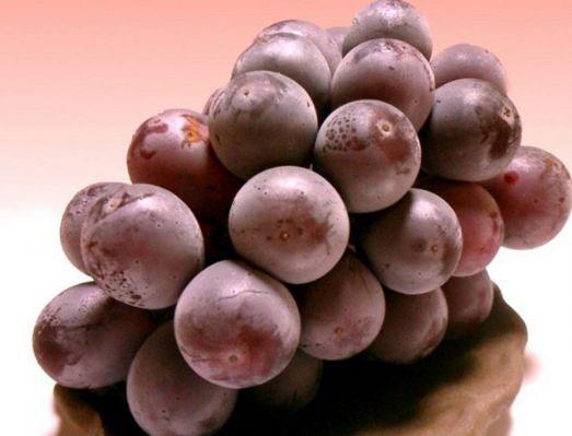 Karazm: Kara zm ekirdekleri ve kabuklar, kanser hcrelerinin oalmasn kamlayan metabolik olaylar engelliyor. Gnmzde elde edilen bilimsel bilgilerin nda zellikle kara zmn artk sadece sezonluk deil, her nde soframzda yer almas neriliyor...