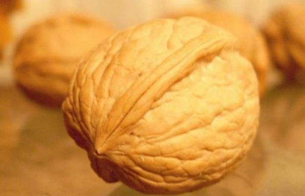 Ceviz: Cevizdeki fitosteroller, kaln barsak, gs ve prostat kanseri gibi kanser trlerinden korunma salyor, baklk sistemini glendiriyor.