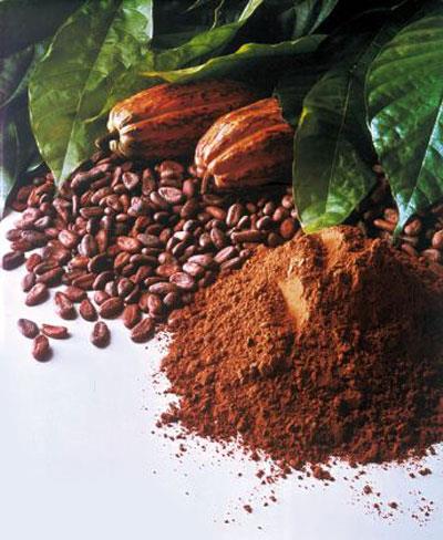 Kakao: Sadece kokusuyla dahi mutluluk hormonunu harekete geiren kakao, kalp hastalklar ve kanserle mcadele etmesi, cildi ve kemikleri beslemesi ile aznza salk dedirtiyor.