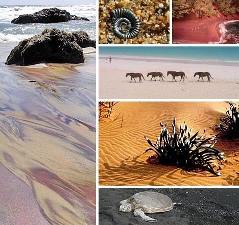 Bu plajlar gzelliiyle adeta bylyor. te sahip olduklar doal gzellikleriyle en nadide plajlar...