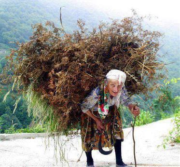 Rize'nin 50 haneli Ortaky de ihtiyar heyeti televizyon izlemeyi yasaklad (2001)Of ilesi Uluaa ky ihtiyar heyeti kadnlara yk tattrlmasn yasaklad (1998)