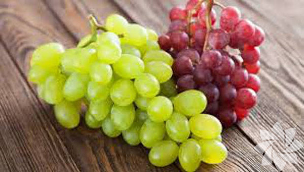 Antioksidan zellie sahiptir. Kanser riskini aza indirger.