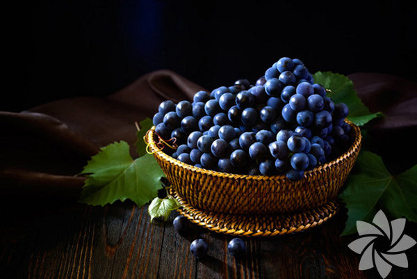 Son olarak sizi gne yanklarndan korur.