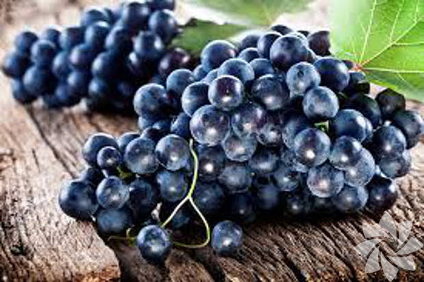 Kalp ve damar hastalklarnda iyileme asndan faydaldr.