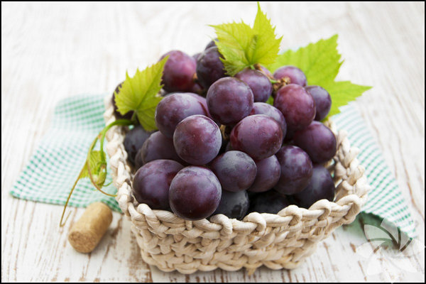 Romatizmal arlar ve iltihaplanmalar nler.