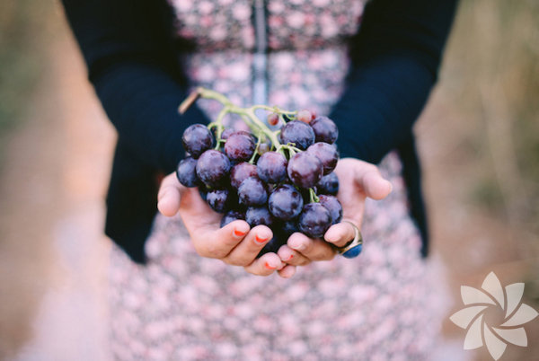 Akne, egzama gibi bir ok cilt rahatszln giderir.