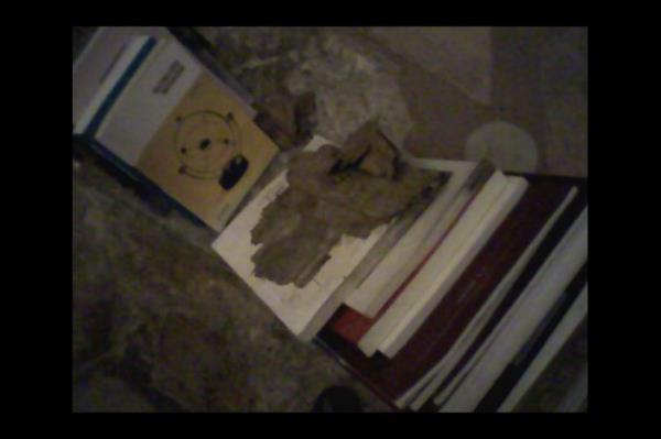 Topkap Saray'ndaki el yazmalar ryor