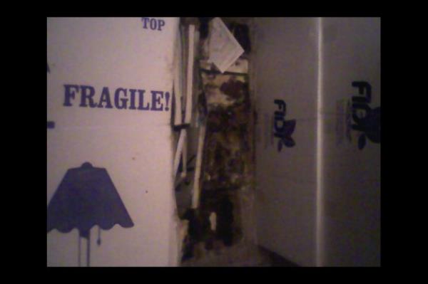 Topkap Saray'ndaki el yazmalar ryor