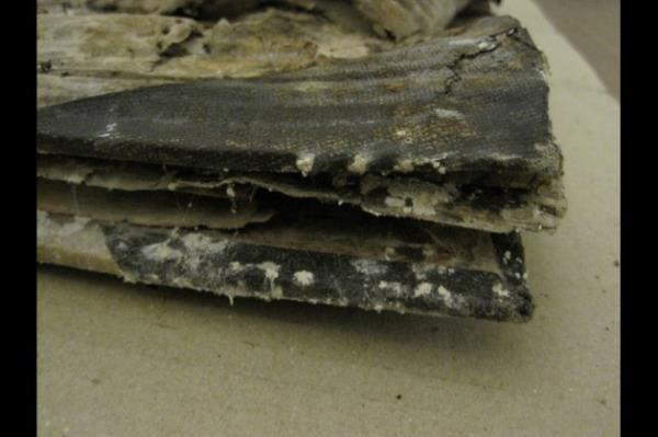 Yukarda grdnz kareler inanlmas zor ama Topkap Saray Silahtaraa Oca Kouu'nda 4 Aralk 2009'da ekildi.