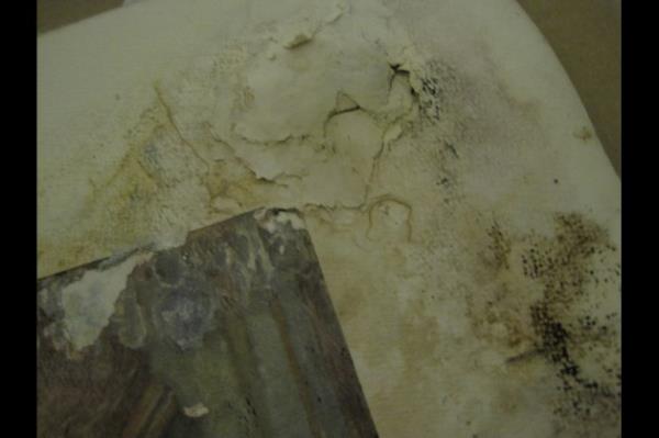 Mesele sadece restorasyon, konservasyon deil. Trkiye'nin kltr varlklar arasnda en sembolik anlam bulunan Topkap Saray'nn arivlerinin bu durumda olmas... Bugne kadar belgelerin tasnif edilememesi, belgelerle birlikte el yazmas kitaplarn dijitale aktarlamamas ve pek ok akademisyenin her frsatta dile getirdii gibi eserlerin aratrmaclarn kullanmna alamamas...