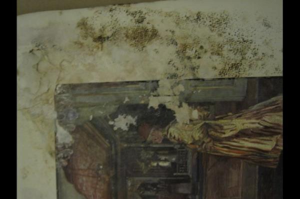 Sadece 1 restoratr var, adnn aklanmasn istemeyen bir yetkiliden rendiimize gre aradan  buuk yl gemesine ramen kitaplarn durumunda bir deiiklik yok. Sarayn halihazrda zaten bir restoratr bulunuyor. O da kuruma bir ay nce atand.