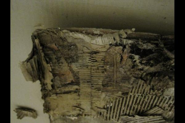 &#8220;Topkap Saray Mzesi Mdrl bnyesindeki Yazma Eser Ktphanesi restorasyon amacyla uzun sredir kapal olup sz konusu ktphaneye ait eserler mzedeki Hazine Kouu adl blmde koliler iinde muhafaza edilmektedir.