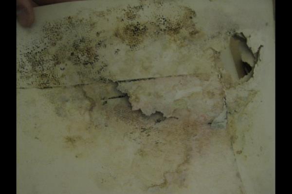 Sarayn iinde 10 mescit var, bunlardan biri merkez camii olarak bilinen Hnkar Mescidi. Padiah burada namaza katld iin mimari tarz dierlerinden farkl. Uzun yllar bu mescit kitap deposu olarak kullanlyor. Daha sonra restorasyon ve iklimlendirme yaplmak zere tamir ve bakma alnyor, eserler de Silahtaraa Oca Kouu'na tanyor. Grdnz fotoraflar bu esnada ekildi.