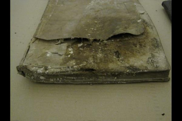 Topkap Saray'nn arivi iki blmden oluuyor. lki; Osmanl'dan kalan belgelerin yer ald belge arivi, dieri &#8220;El Yazmalar Ktphanesi.&#8221; Toplam 22 bin eserin yer ald arivlerin tamam ok kymetli.