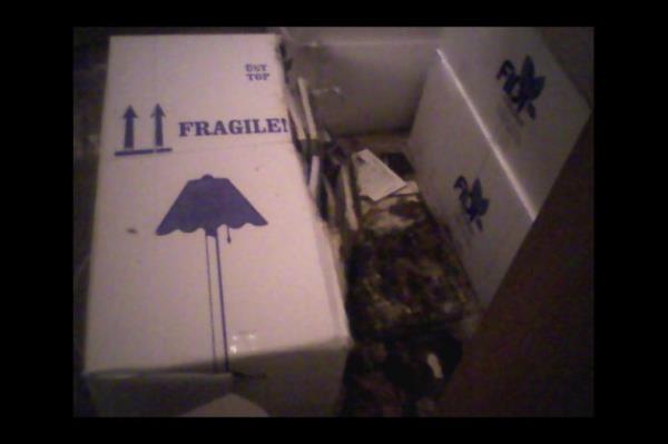 Topkap Saray'ndaki el yazmalar ryor