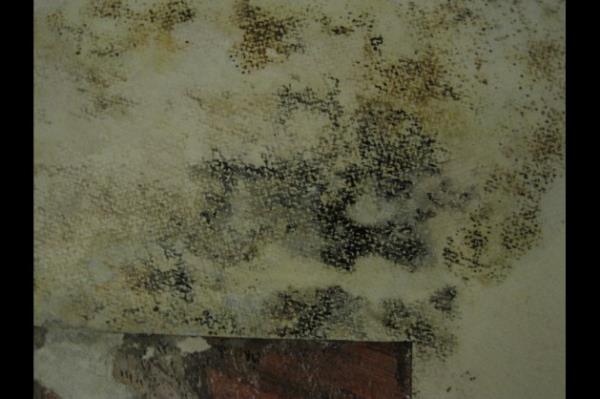 Hnkar Mescidi depo olarak kullanlm Sarayn iindeki Revan, Badat ve Harem gibi birka kkten toplanan el yazmas eserler, ktphane binas olarak yaplan Enderun'un ortasndaki III. Ahmet Ktphanesi'ne smaynca Hnkar Mescidi'ne ylyor.