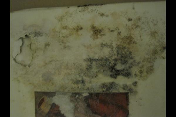 Tamir edilmek zere ayrlan eserlerin envanter kaytlar tutanak metnine yazlmak amacyla Zeynep Atba'tan istenildii halde tarafmza bildirilmemitir.&#8221;