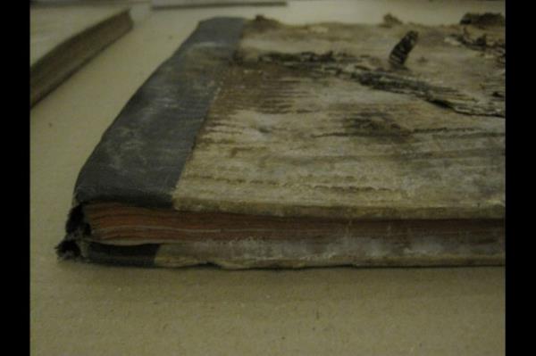 8 Aralk 2009'da l Kltr Mdrl'ne iletilen tutanakta eserlerin bu hale nasl geldii yle ifade ediliyor: