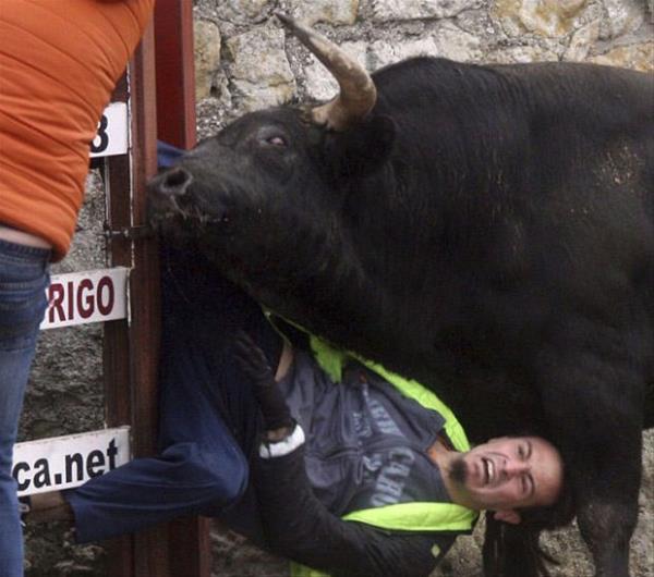 Boadan kamaya alan gen adam baarl olamaynca kzgn boann boynuz darbelerine maruz kald.