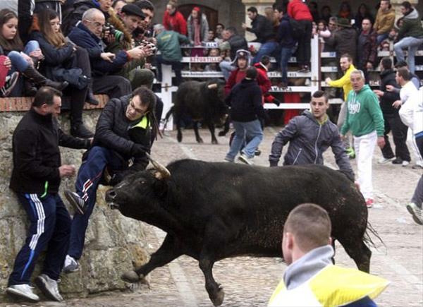 Hayvanseverlerin byk tepkisi eken bu kutlamalarda sk sk benzer grntler yaanyor.