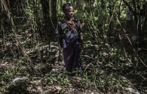 Bu fotoraflar Afrika ktasnn gneydousunda Malavi'de ekildi...