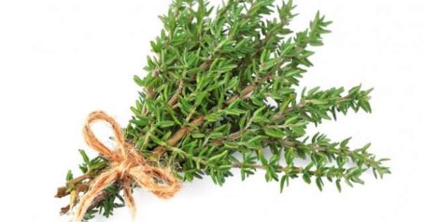 Kekiin faydalarn zetleyecek olursak: