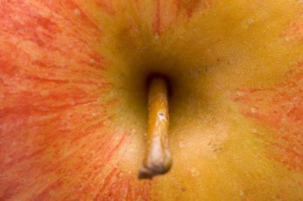 Sabahlar elma kahveden daha fazla uykunuzu aar.