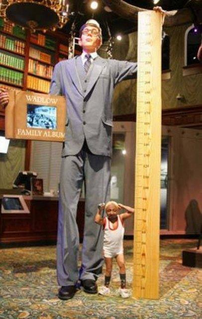 En uzun boylu insan 1940 ylnda len 2,72 metre boyunda ABD'li R.P. Wadlow olmutur.
