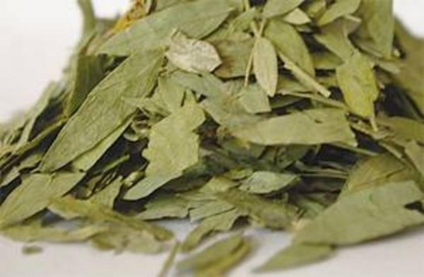 Sinameki bitkisinin temel bileeni olan, "antrasenozit" iritan mshil zelliiyle biliniyor.