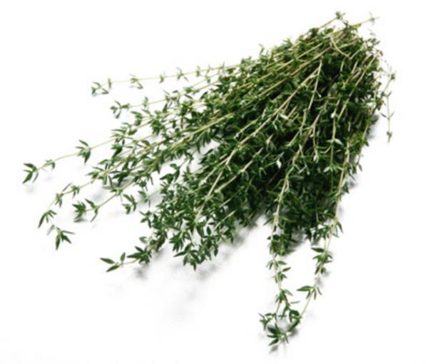 KEKK AYI KAN EKERN DRYOR