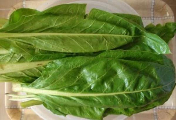 Magnezyum, potasyum, lif, kalsiyum, bol miktarda B vitamini, inko ve selenyum barndrr. Fakat belki gznzden kam olabilecek bir ayrntya dikkat. Paz dolmas yerken bu vitaminlerin canna okuyormuuz. nk paznn i yenmesi neriliyor.