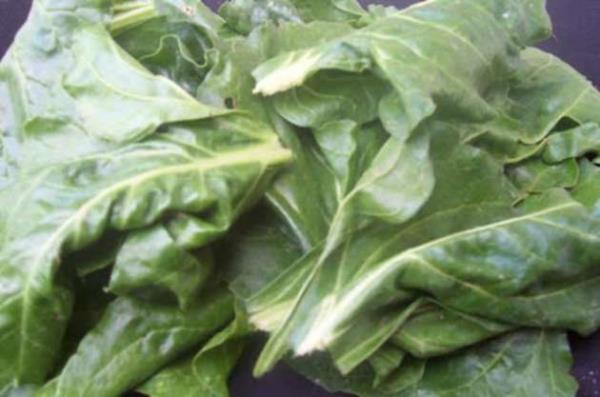 PAZI YAPRAI: Bir kap  paz yapra  <br>Sebzelerin Voltran desek abartm m oluruz? A, C, E ve hatta K vitamini deposudur.