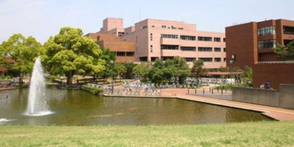 50- University of Tsukuba<br>  JAPONYA