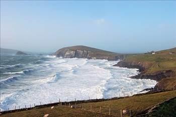 Okyanuslarda bulunan tuz miktar, tm ktalar 150 metre derinlikte kaplayacak kadar fazladr.