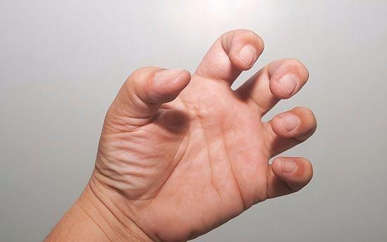 El trnaklar, ayak trnaklarndan abuk uzar.