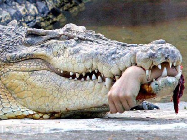 TMSAHLARIN SALDIRILARI...