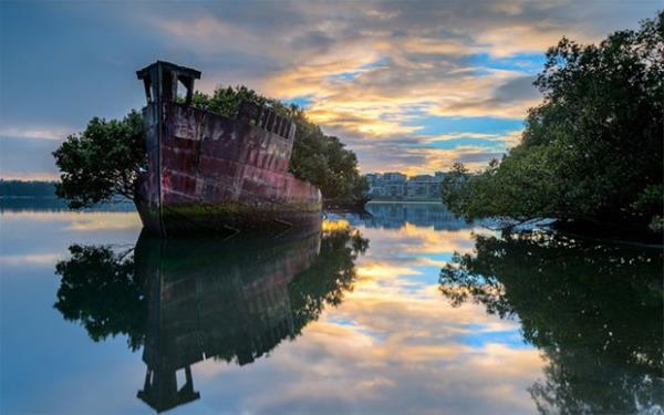 SS Ayrfield kalntlar, Homebush Bay, Avustralya