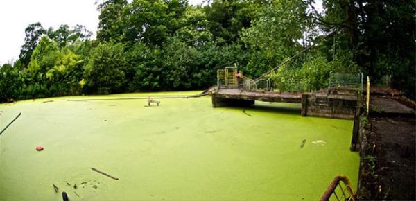 Dadipark, Dadizele, Belika