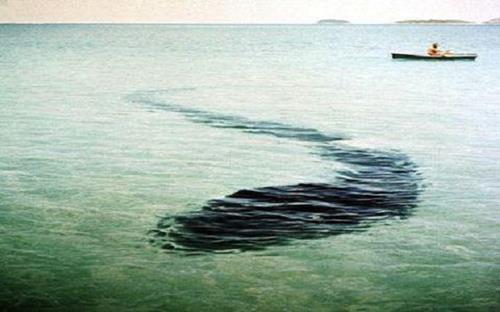 Hook adas canavar         <br>1924'te ekilen ve sonradan renklendirilen bu fotorafta Hook adas aklarnda deniz altndaki devasa bir canl grntlenmi. Bu canlnn tr ve ne olduuna dair herhangi bir bilgi gnmzde de olmamakla birlikte, fotoraf eken Robert Le Serrec ve kars, canlnn son derece saldrgan bir yapda olduunu tarihe not dmler.