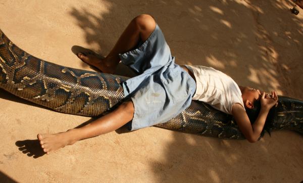 Uorn, doduundan beri 5 metre boyunda ve 100 kilo arlndaki ylanla birlikte grlyor.