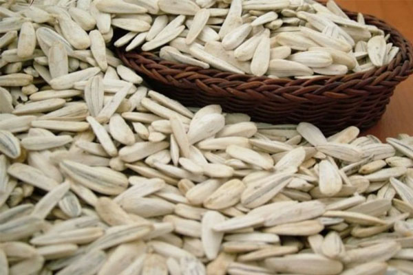 Bir nceki aya gre deiimi oran (%) Ay ekirdei: 3.05