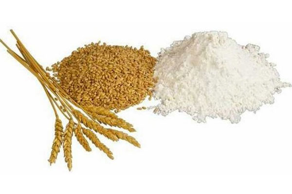 Bir nceki aya gre deiimi oran (%) Buday unu: 1.58