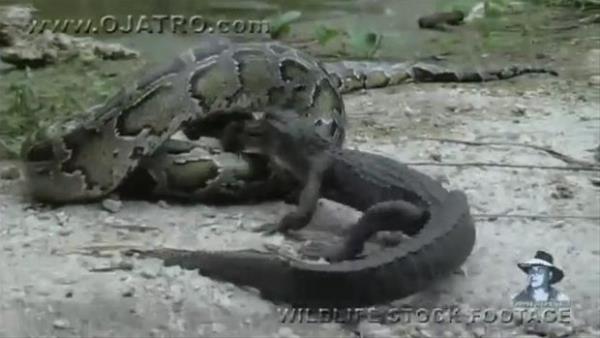 te saniye saniye o anlar