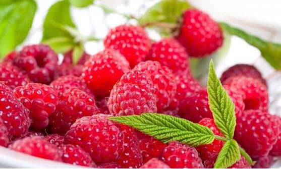 Ahududu: Kalp salna destek olur, obeziteye kar etkilidir.