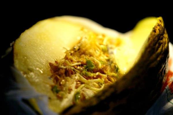 9. Gl bir koku giderici ; Kavun ..  <br>  Kavun kabuklar da gl bir koku giderici olarak biliniyor. Buzdolabnzn bir iki rafna kavun kabuklar koyarak kt kokularn gemesini salayabilirsiniz.