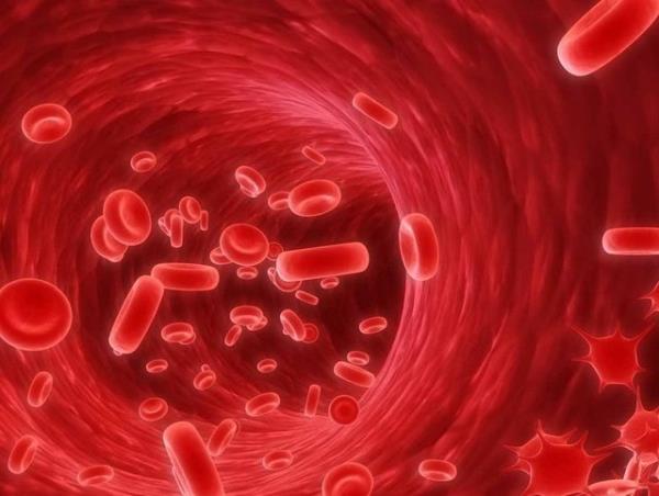 Toplam olarak erkeklerde 1 santimetrekp kanda 5 milyon alyuvar vardr, bu da kadnlara kyasla yzde yirmi fazlalk demektir.