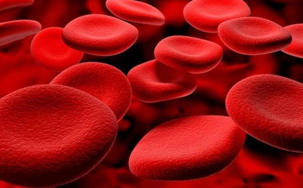 Kan: Erkeklerde 4.5, kadnlarda 3.6 litre kan vardr. Erkek kan daha koyu kvamldr, bir damlasnda 1 milyon kan hcresi vardr.