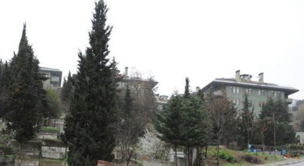 nl oyuncunun evin dekorasyonu iin nl bir irketle anlat renildi.